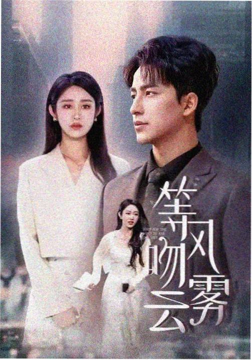 手机看片92热播剧集 长夜回声